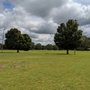 Photo of Tryon Park
