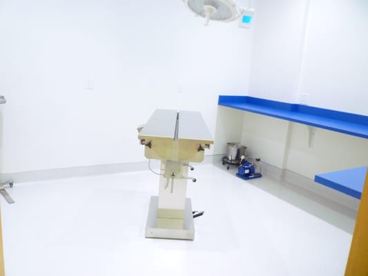 affordable emergency animal clinic