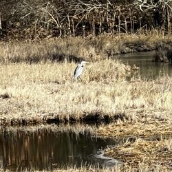 Emilie Ruecker Wildlife Refuge