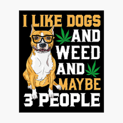 Green Box Dispensary - Found this online