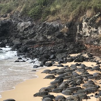 Hookipa Beach Park - Parks Near Me - Paia, Hawaii