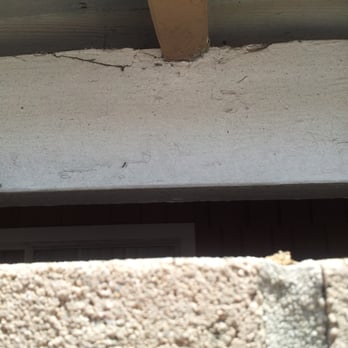 Richview Termite - Pest Control Near Me - Whittier, California Richview Termite - Pest Control Near Me - Whittier, California