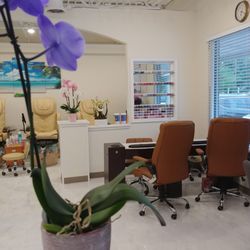 Viva Nail & Spa