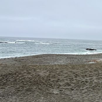 Ricochet Ridge Ranch - Ride on this small part of the Sandy beach - Tours Near Me - Fort Bragg, California