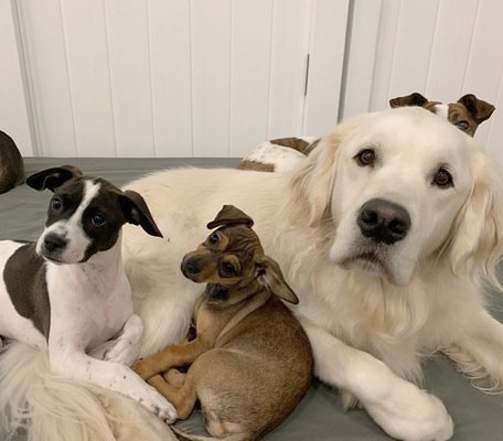 Crate Escape by null