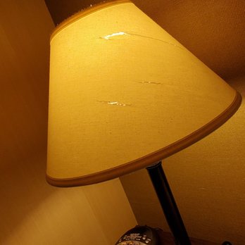 Wyndham Garden Ann Arbor - Lamp shade 2 - Hotels Near Me - Ann Arbor, Michigan Wyndham Garden Ann Arbor - Lamp shade 2 - Hotels Near Me - Ann Arbor, Michigan