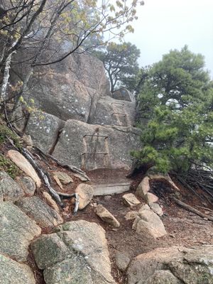 Beehive Trail by null