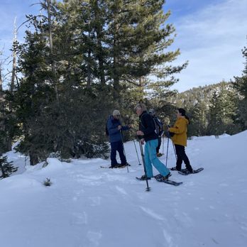 Action Tours - Yes, it was nice out there. - Tours Near Me - Big Bear Lake, California