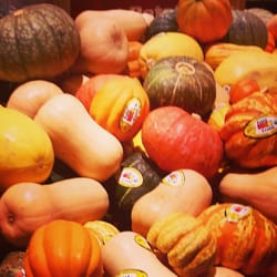 Tom Thumb - My fall squash is back!!