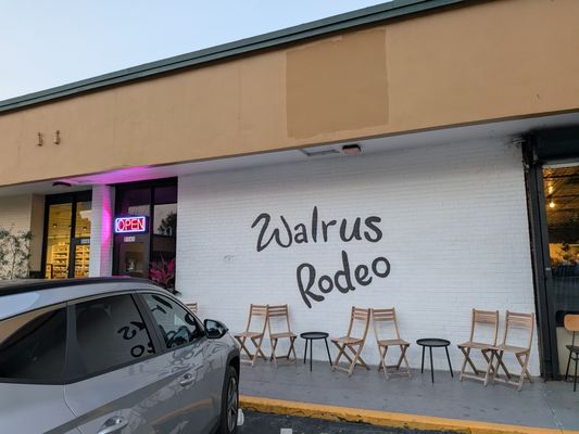 Walrus Rodeo by null