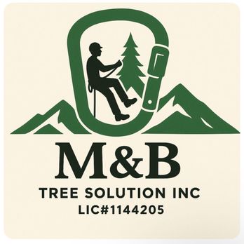M&B Tree Solution - M&B Tree Solution Inc. logo licensed by the State of Californi - Tree Services Near Me - Shingletown, California