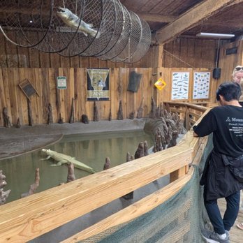 Airboat Adventures - Boat Tours Near Me - Lafitte, Louisiana Airboat Adventures - Boat Tours Near Me - Lafitte, Louisiana