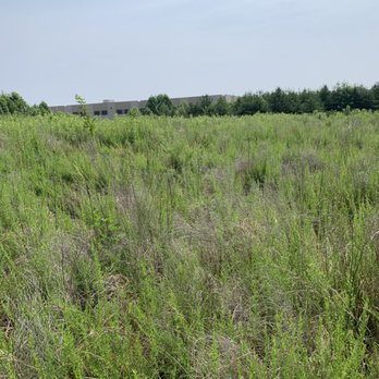 Rigid Property Maintenance - a field of grass and weeds - Pressure Washers Near Me Rigid Property Maintenance - a field of grass and weeds - Pressure Washers Near Me