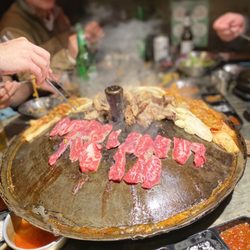 user provided Honey Pig photo