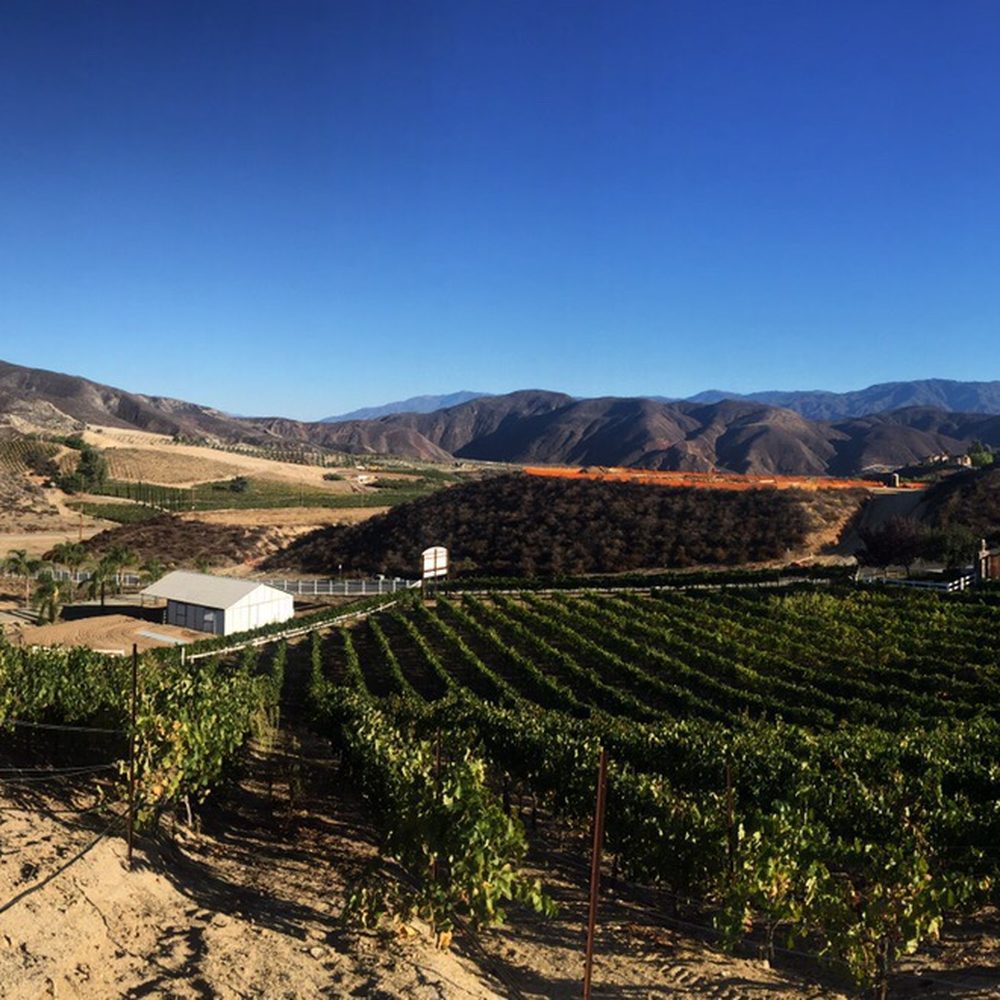 Oak Mountain Winery - The fields - Wineries Near Me - Temecula, California Oak Mountain Winery - The fields - Wineries Near Me - Temecula, California