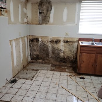 The Home Exam - Home Inspectors Near Me - Port Orange, Florida The Home Exam - Home Inspectors Near Me - Port Orange, Florida
