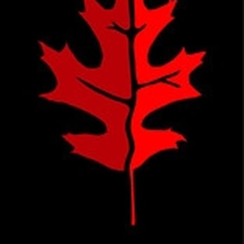 Scarlet Oak Tavern - logo - New American Near Me - Hingham, Massachusetts Scarlet Oak Tavern - logo - New American Near Me - Hingham, Massachusetts