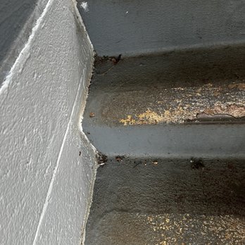 Moanalua Hillside - bugs (dead and alive) on stairs - Apartments Near Me - Honolulu, Hawaii