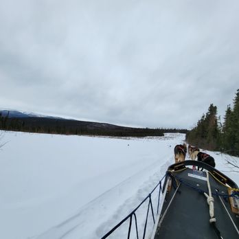 Douglas Fir Mushing - Sledding Near Me