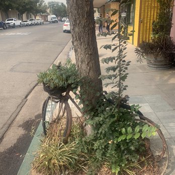 Casas Succulents And Cactus - Nurseries & Gardening Near Me - Visalia, California
