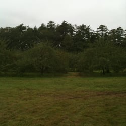 Biscay Orchards - Some of the trees!