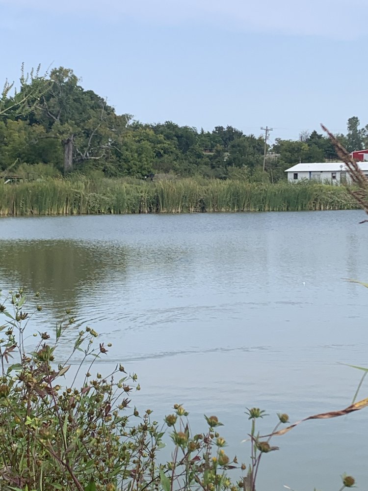 CATFISH CORNER Updated August 2024 10 Reviews 1702 Lawson Rd