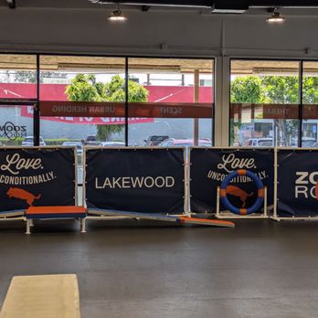 Zoom Room Dog Training - Bright and welcoming colors! - Pet Training Near Me - Lakewood, California Zoom Room Dog Training - Bright and welcoming colors! - Pet Training Near Me - Lakewood, California