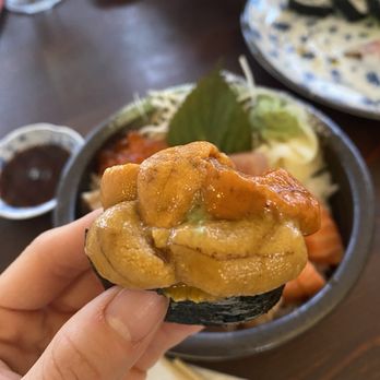 Sushi Kaunta - Japanese Near Me - Kent, Washington Sushi Kaunta - Japanese Near Me - Kent, Washington