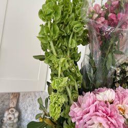 Repetto's Greenhouse Florists - Bells of Ireland looked horrible when I bought them and didn't perk up in water