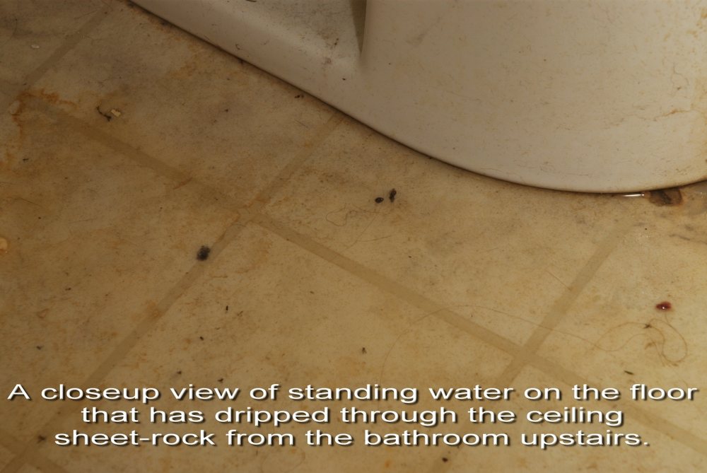 Slide of Performance Home Improvement