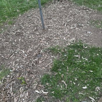 Green Care Tree Services - Tree Services Near Me Green Care Tree Services - Tree Services Near Me