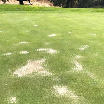 Eagle Ridge Golf Club - Dead dead greens - Golf Near Me - Gilroy, California