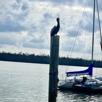 Tween Waters - Resorts Near Me - Captiva, Florida