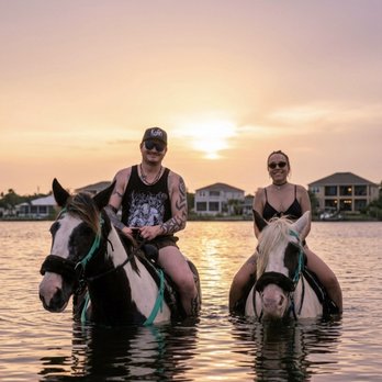 C Ponies Beach Horseback Rides - Horseback Riding Near Me - Bradenton, Florida C Ponies Beach Horseback Rides - Horseback Riding Near Me - Bradenton, Florida