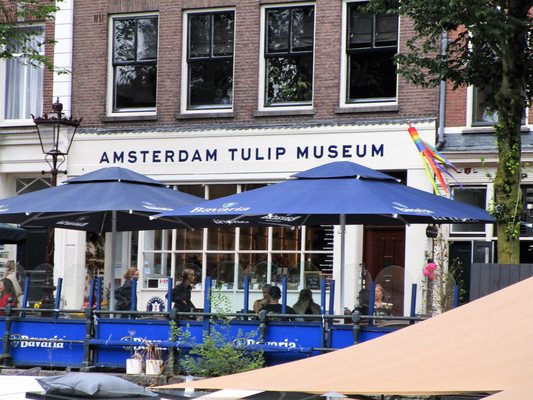 Amsterdam Tulip Museum by null