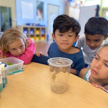 Terra Schools - Our students learning about the wonders of nature. - Elementary Schools Near Me - San Francisco, California Terra Schools - Our students learning about the wonders of nature. - Elementary Schools Near Me - San Francisco, California