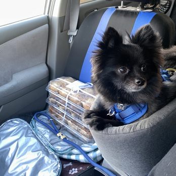 Dogtopia - Pet Boarding Near Me - Bakersfield, California Dogtopia - Pet Boarding Near Me - Bakersfield, California