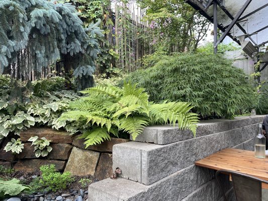 The Local 104 by null