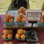 Photo of Thompson Farms
