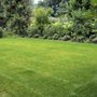 Photo of Jeremie the Landscaper