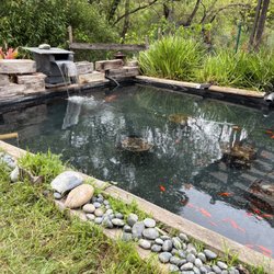 Webb's Water Gardens - A nice clean pond and waterfall, with many large goldfish (carp) who are insanely friendly.
