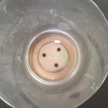 Organiclean - The bathroom trash wasn't even taken out. Gross! - Home Cleaning Near Me - Nashville, Tennessee