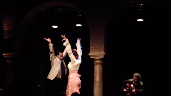 Flamenco Dance Museum by null