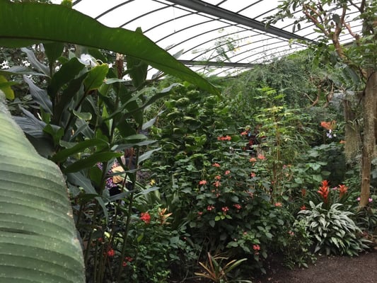 Naturospace Honfleur by null