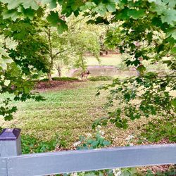 Free Library of New Hope & Solebury
