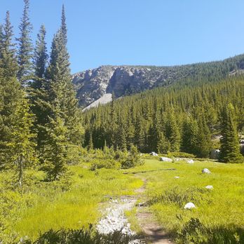Buchanan Pass Trail - Hiking Near Me Buchanan Pass Trail - Hiking Near Me