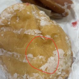 Jelly Filled Donut Jelly Filled Donut