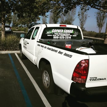 Gopher Squad - Pest Control Near Me Gopher Squad - Pest Control Near Me