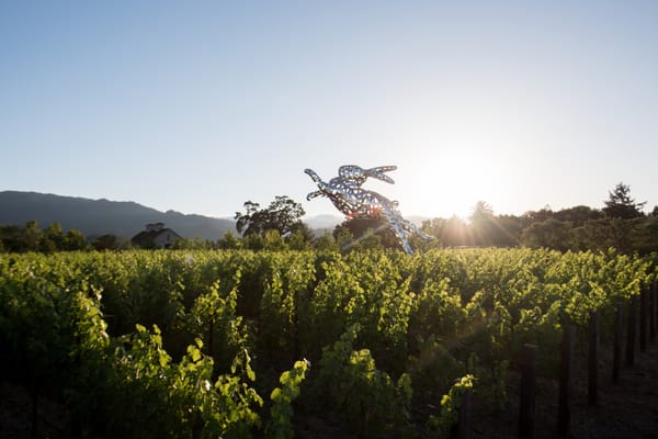 HALL Wines St. Helena by null