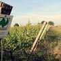 Photo of Weingut Eymann